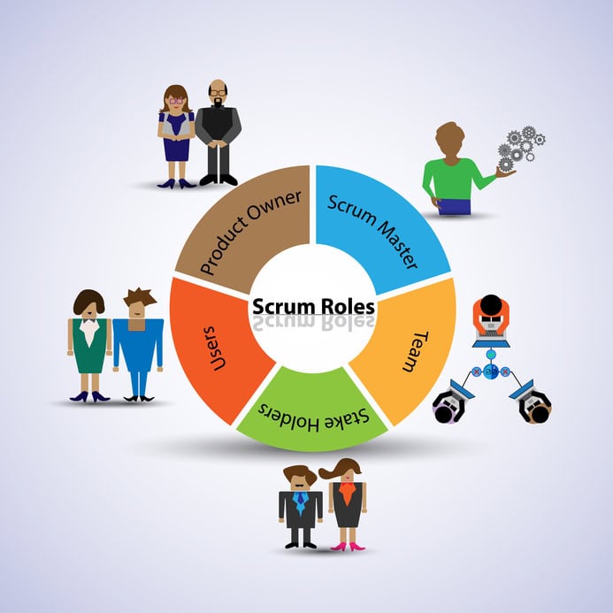 The roles in Scrum