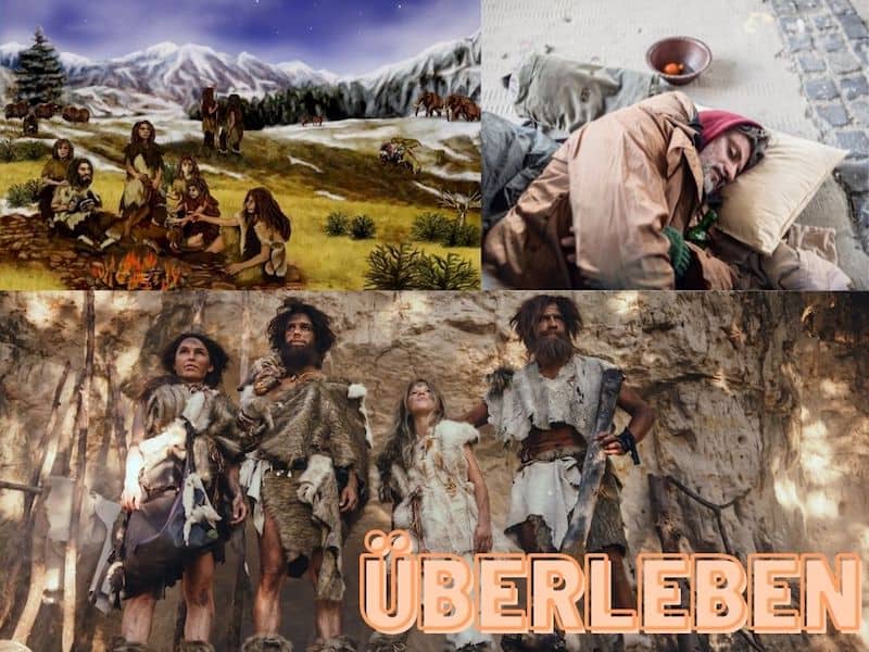 Mem 1 Überleben, Spiral Dynamics