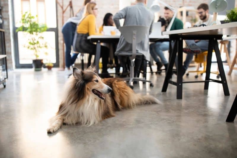 Design Thinking Ideate